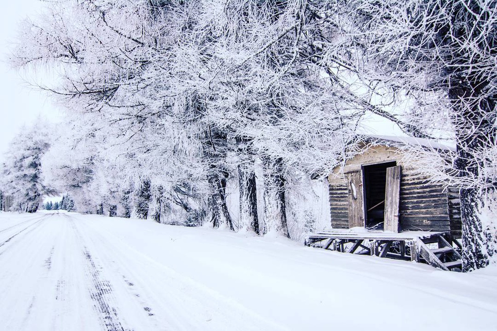 Bang qua dai lo dan toi thien duong mua dong hinh anh 5