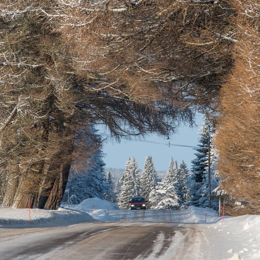 Bang qua dai lo dan toi thien duong mua dong hinh anh 7