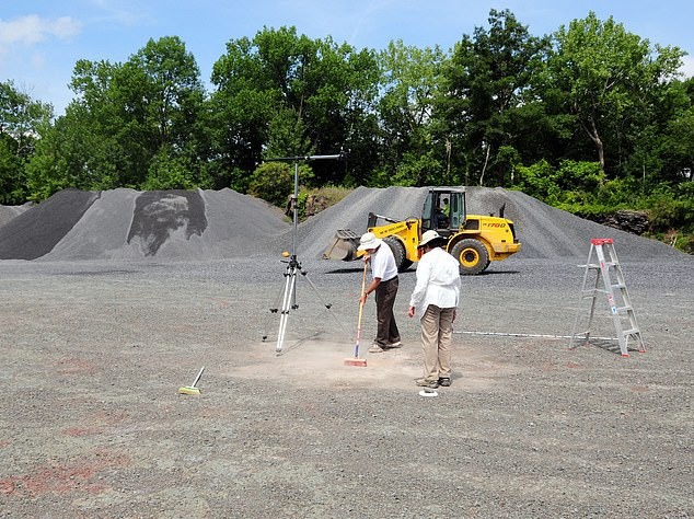 Phat hien khu rung co dai 386 trieu nam hinh anh 4 4_(1).jpg