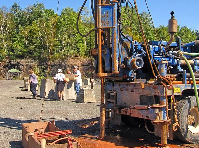 Phat hien khu rung co dai 386 trieu nam hinh anh 5 5_(1).jpg