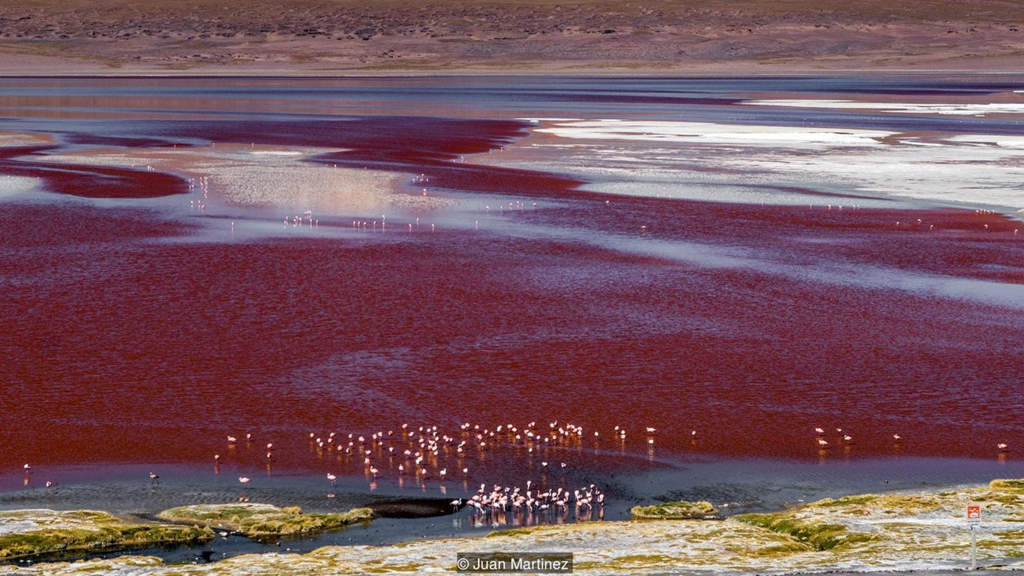 Canh sieu thuc quanh canh dong muoi lon nhat the gioi hinh anh 7