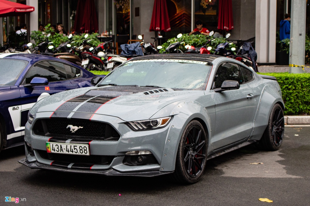 Dan ngua hoang Ford Mustang quy tu tai TP.HCM, do dang voi xe Duc hinh anh 6 Mustang_zing_6_.jpg