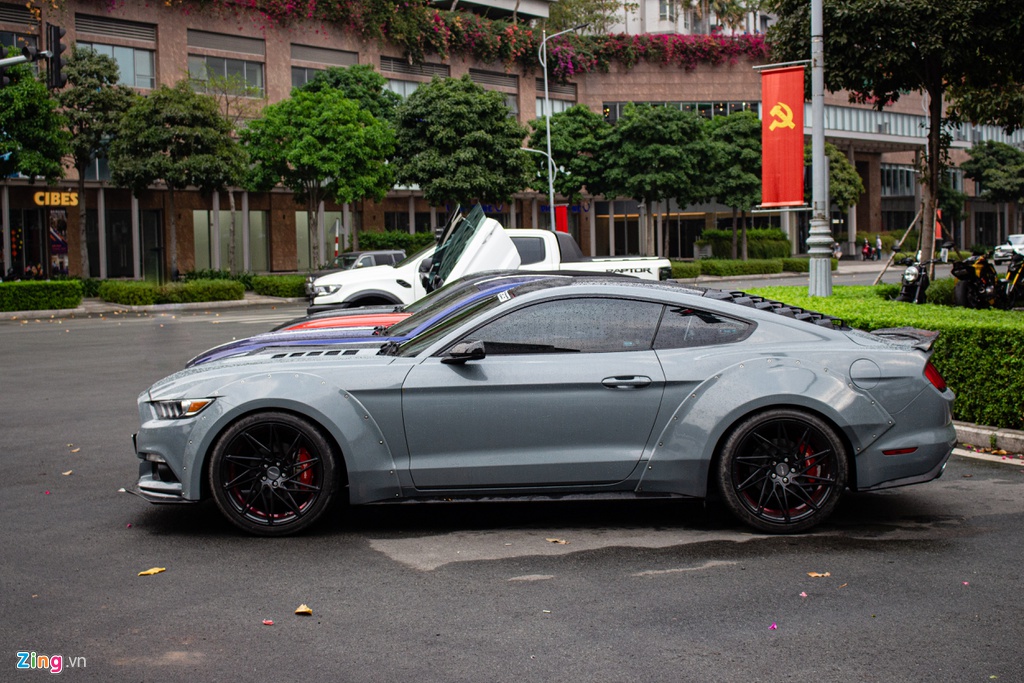 Dan ngua hoang Ford Mustang quy tu tai TP.HCM, do dang voi xe Duc hinh anh 7 Mustang_zing_8_.jpg