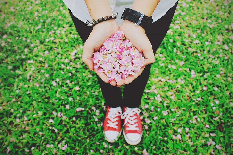 Xu Hue dep tua buc tranh Nhat Ban trong mua diep anh dao hinh anh 4 diep1.jpg