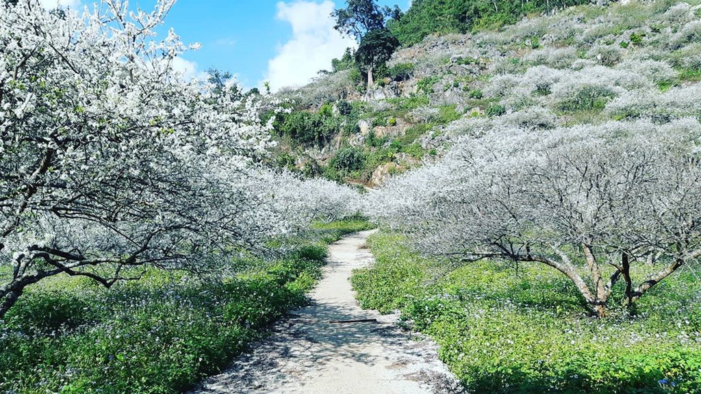 thung lung Viet anh 14