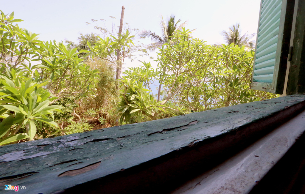 Di tich lau Bao Dai bi cao troc, hoang tan lanh leo hinh anh 15