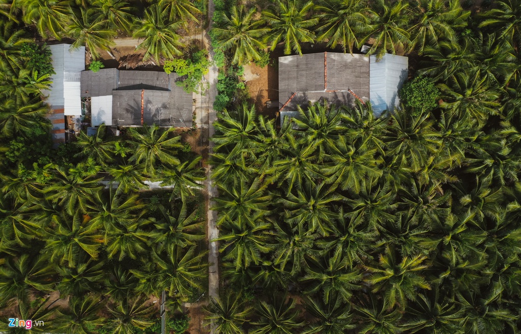 Nha don so cua gia dinh Jack tai Ben Tre hinh anh 2 jack_Zing1.JPG