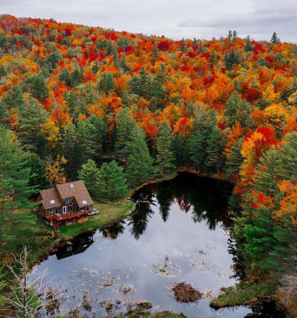 Tieu bang My chi tien cho nguoi toi o, dep ngo ngang vao mua thu hinh anh 4
