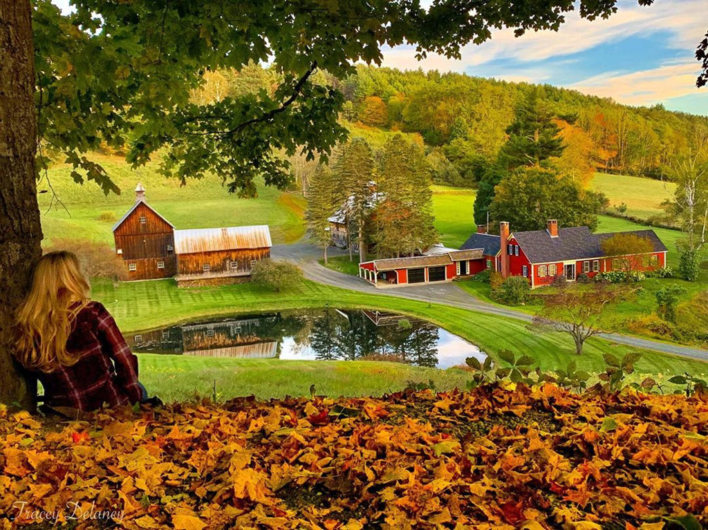 Tieu bang My chi tien cho nguoi toi o, dep ngo ngang vao mua thu hinh anh 9