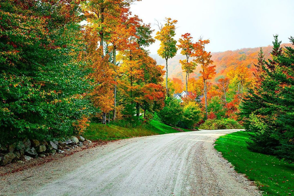 Tieu bang My chi tien cho nguoi toi o, dep ngo ngang vao mua thu hinh anh 8