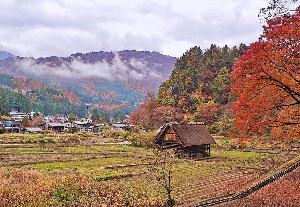 Lang Doraemon dep tua co tich vao mua thu Nhat Ban hinh anh 2