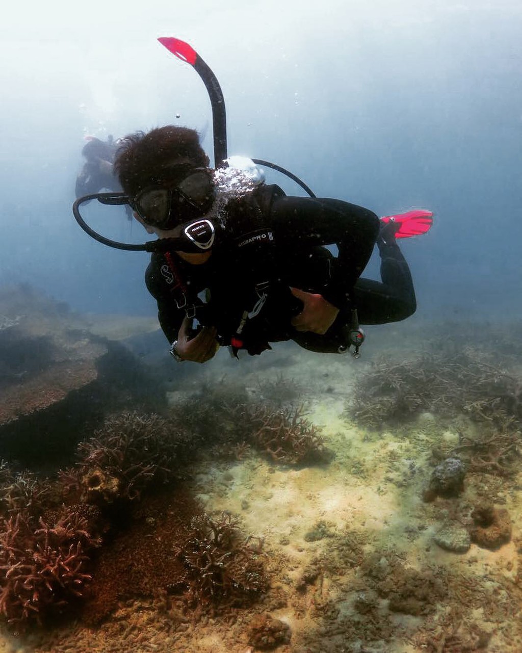 Nhung chuyen du lich dat tien cua hoang tu Brunei hinh anh 7