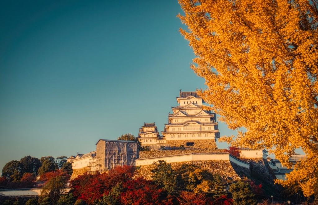 Lau dai Hac Trang tram tuoi duoc nguoi Nhat coi nhu quoc bao hinh anh 5