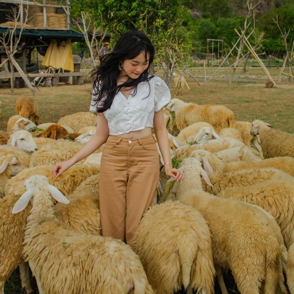 Du lich Cam Ranh anh 4