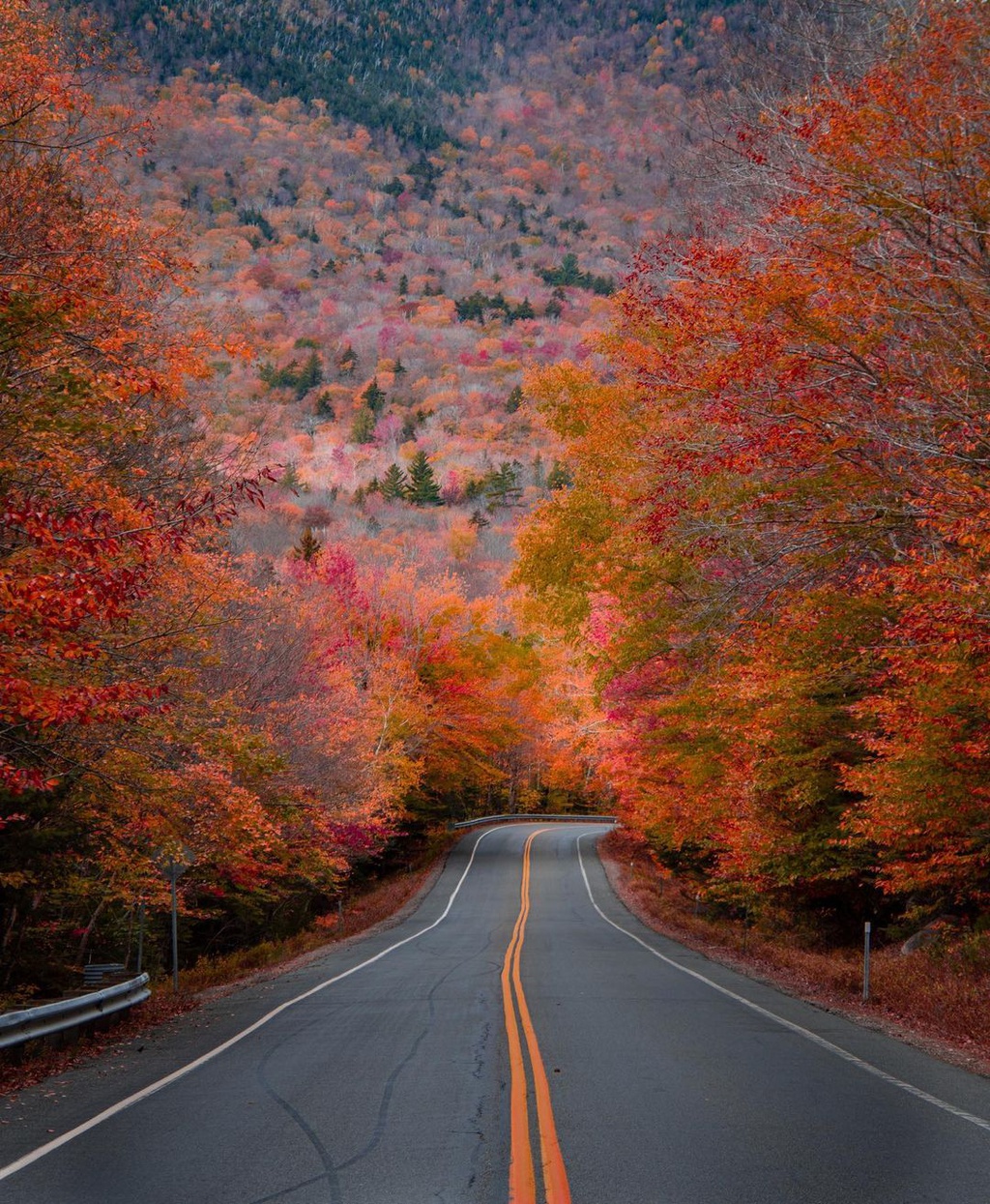 Cung đường cao tốc phủ kín rừng cây lá đỏ ở Mỹ 1_chandler_anderson_