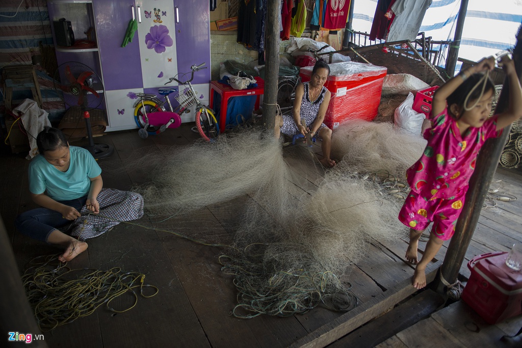 Xom dao o Ca Mau sau bien co trieu cuong hinh anh 11