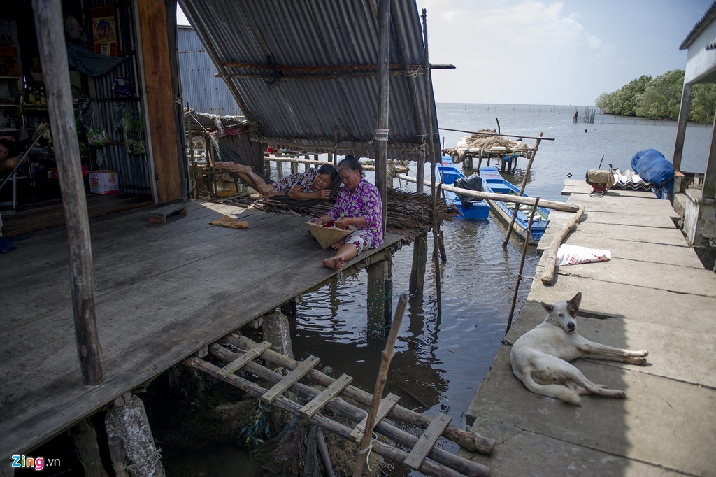 Xom dao o Ca Mau sau bien co trieu cuong hinh anh 2