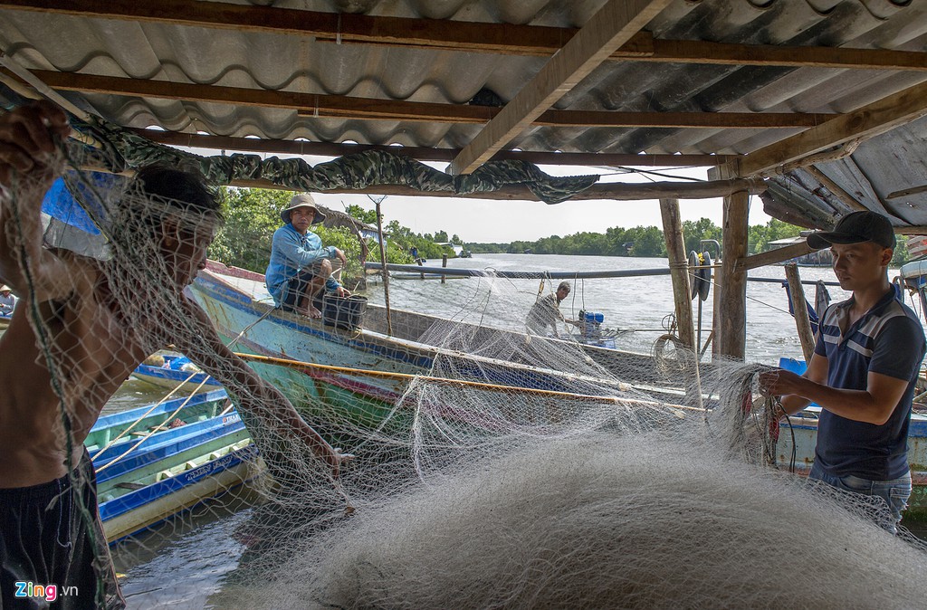 Xom dao o Ca Mau sau bien co trieu cuong hinh anh 4