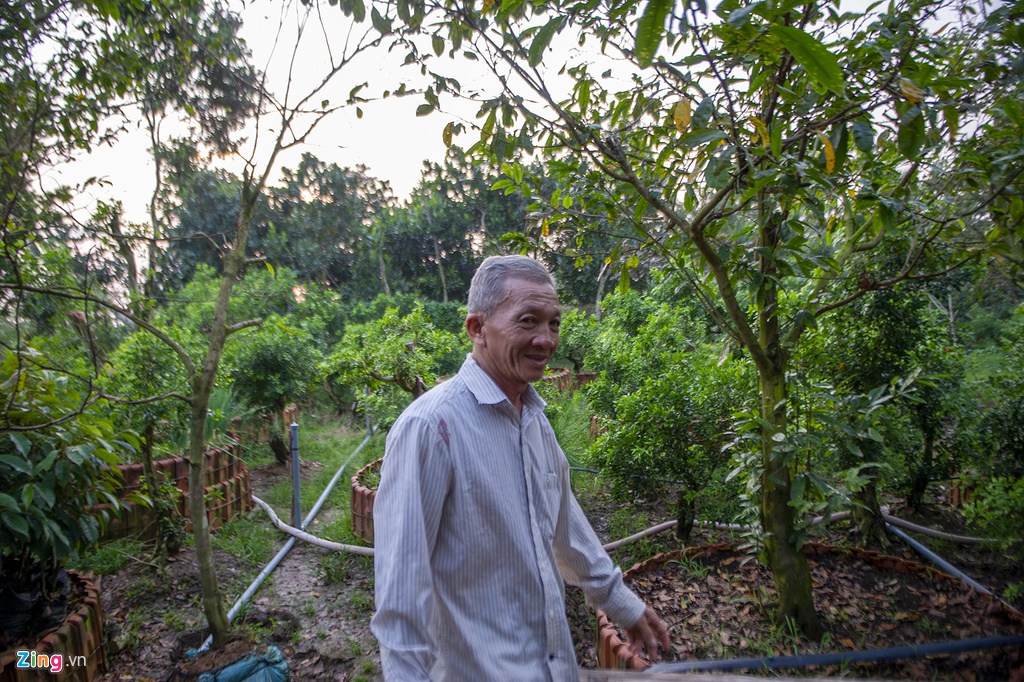 Vuon nguyet que hang chuc ty cua nong dan mien Tay hinh anh 11 hoakieng027_zing.jpg