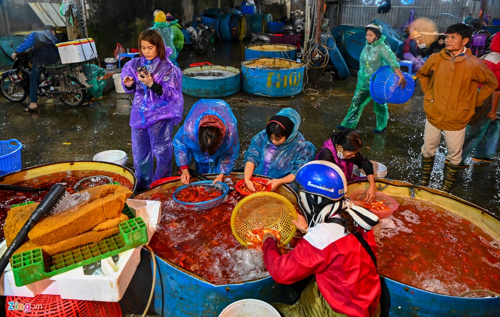 Cho ca lon nhat Ha Noi do ruc ngay cung ong Cong ong Tao hinh anh 1 muacachep1_zing.jpg