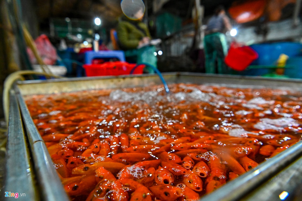 Cho ca lon nhat Ha Noi do ruc ngay cung ong Cong ong Tao hinh anh 2 muacachep2_zing.jpg