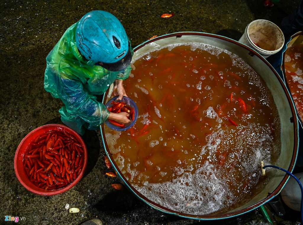 Cho ca lon nhat Ha Noi do ruc ngay cung ong Cong ong Tao hinh anh 5 muacachep5_zing.jpg