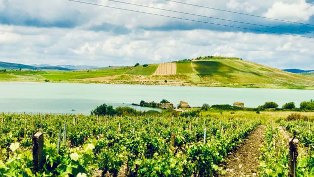 Nhung nguoi chuyen den 'thanh dia mafia' vi nha 1 euro hinh anh 8