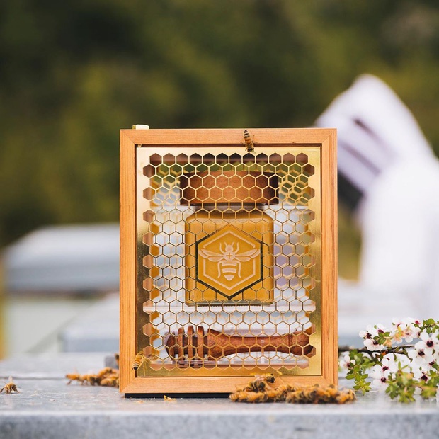 Bi mat dang sau loai mat ong dat nhat the gioi hinh anh 6