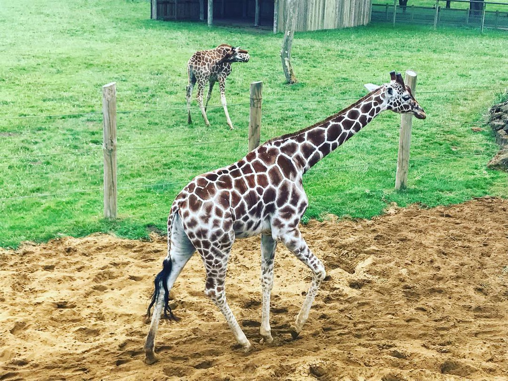 Nhung khach san nam trong so thu tai Anh hinh anh 15 20066607_238282106683340_4619554093570981888_n.jpg