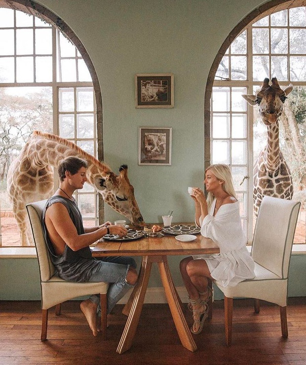 Nhung khach san nam trong so thu tai Anh hinh anh 8 photo-1-15757371982631202657214.jpg