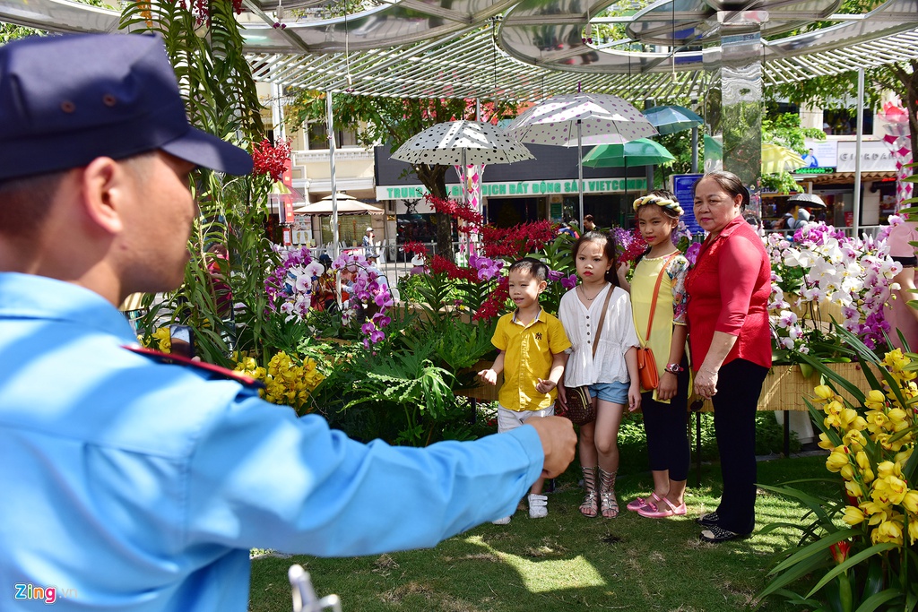 Chua het Tet, hang tram chau hoa bi dap nat o duong hoa Nguyen Hue hinh anh 15 duong_hoa_mong_3_tet_15_zing.JPG