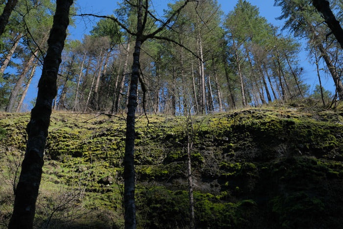 Mua may anh moi khong giup ban chup dep hon hinh anh 3 Z18826052020_2.jpg