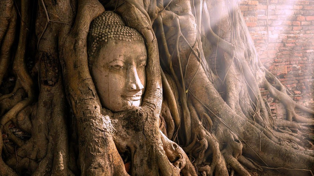 Tượng mặt Phật 700 tuổi ẩn mình trong rễ cây ở Thái Lan
