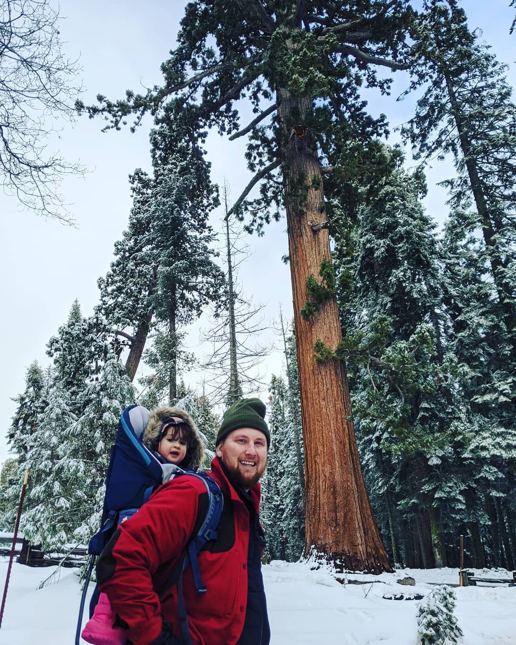 Tuyet phu trang rung cay dai thu cao nhat nuoc My hinh anh 11 hoopsiedani_2.jpg