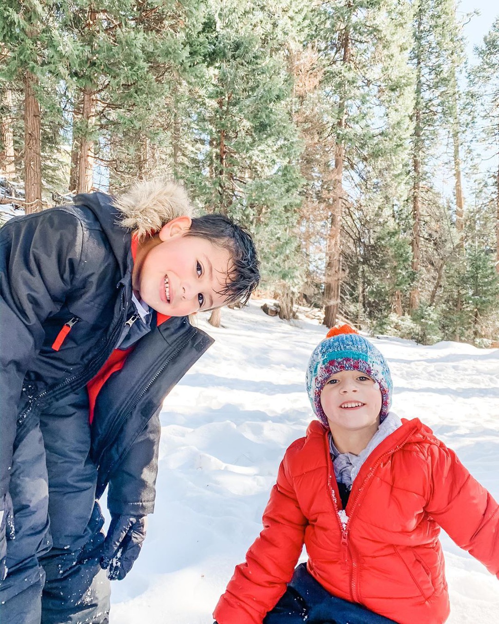 Tuyet phu trang rung cay dai thu cao nhat nuoc My hinh anh 15 ohsusiieq.jpg