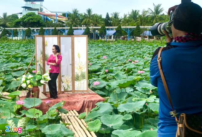 dich vu chup anh sen anh 2