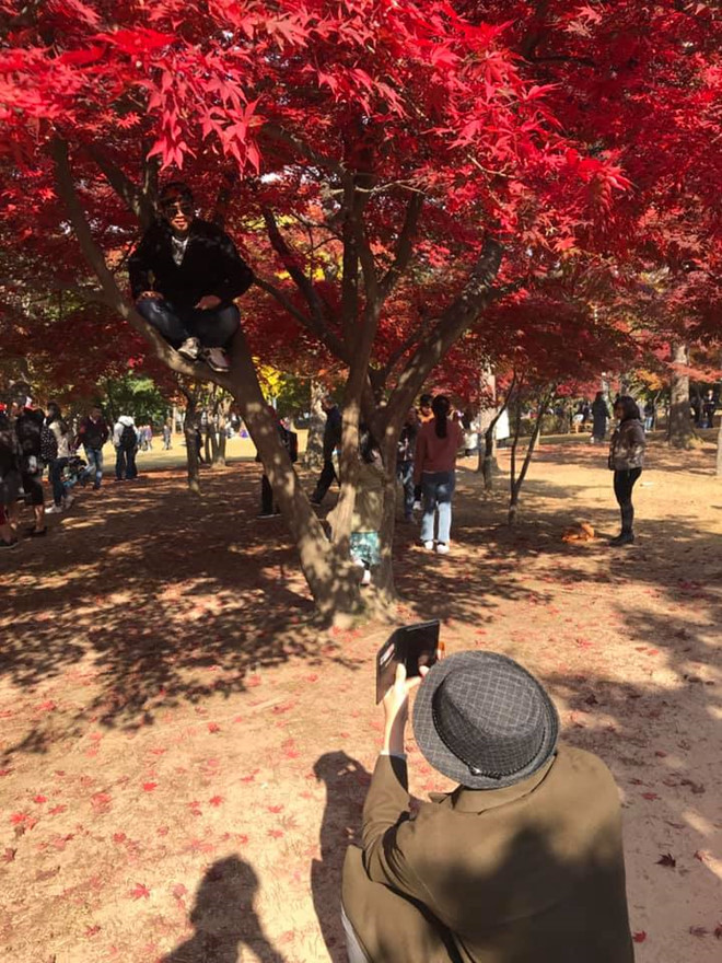 Khach Viet treo cay, tao dang chup anh o Han Quoc hinh anh 1