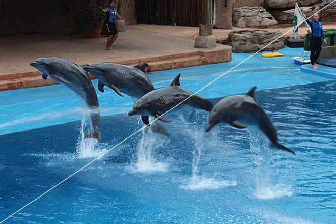 7 luu y quan trong khi chon mua TV choi Tet hinh anh 9