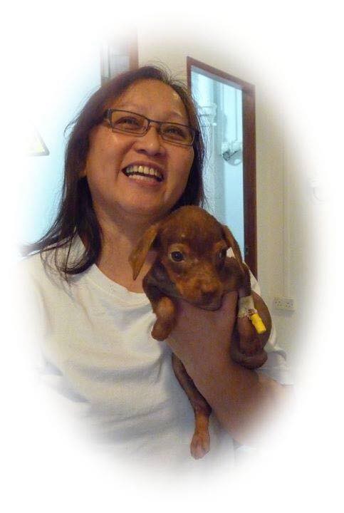 Nguoi phu nu Singapore danh ca doi cuu ho dong vat mat vi ung thu hinh anh 2