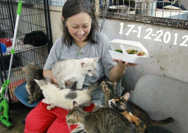 Nguoi phu nu Singapore danh ca doi cuu ho dong vat mat vi ung thu hinh anh 1