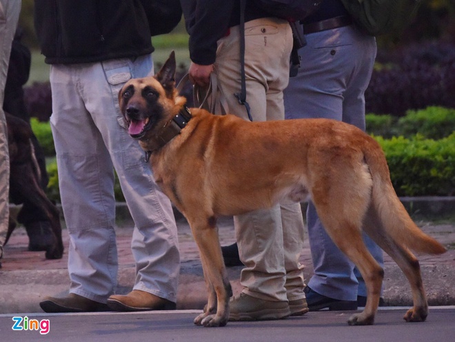 Xe 'quai thu' roi khach san len Noi Bai don Tong thong Trump hinh anh 11