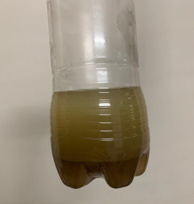 Do nham xang pha nuoc vi mua mua o TP.HCM? hinh anh 2