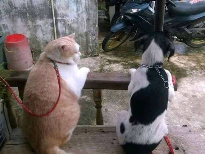 Anh che hau qua phu phang sau mot mua Tet 'tha phanh bat chap' hinh anh 9