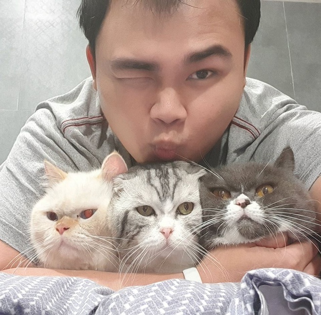 Chu meo o Viet Nam gay bao mang voi meme 'dau o day nay' hinh anh 4 79414769_2682083741852152_4746447927373725696_o_1.jpg