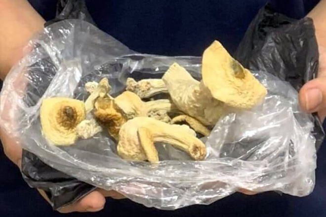 Sinh vien nuoi nam ma tuy anh 1