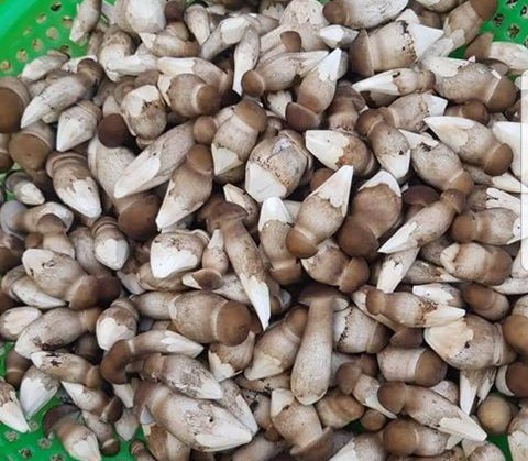 Nam moi khan hang anh 2