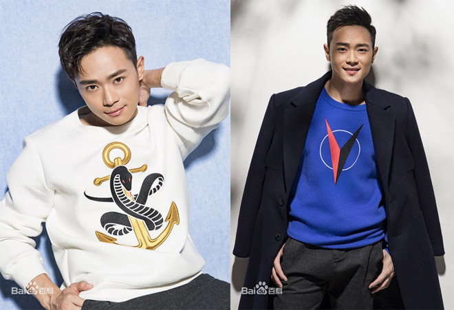 Su nghiep lan dan cua cac sao nhi hang dau Trung Quoc hinh anh 3