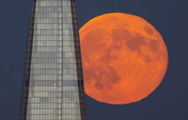 xem nguyet thuc nua toi luc nao dep nhat anh 1