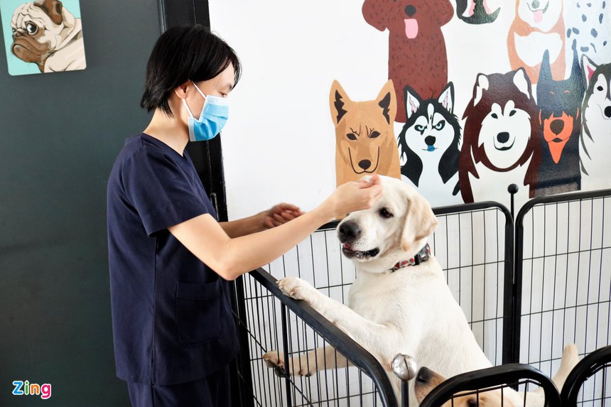 Chi 30 trieu dong de gui cho, meo xuyen Tet o TP.HCM anh 2