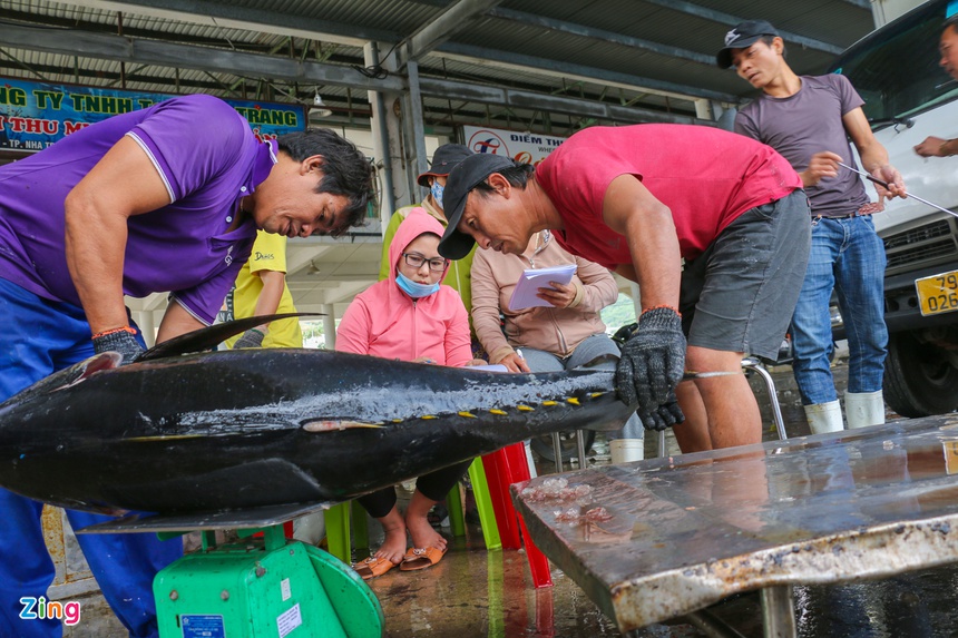 noi un u noi khan hiem thuy hai san anh 2